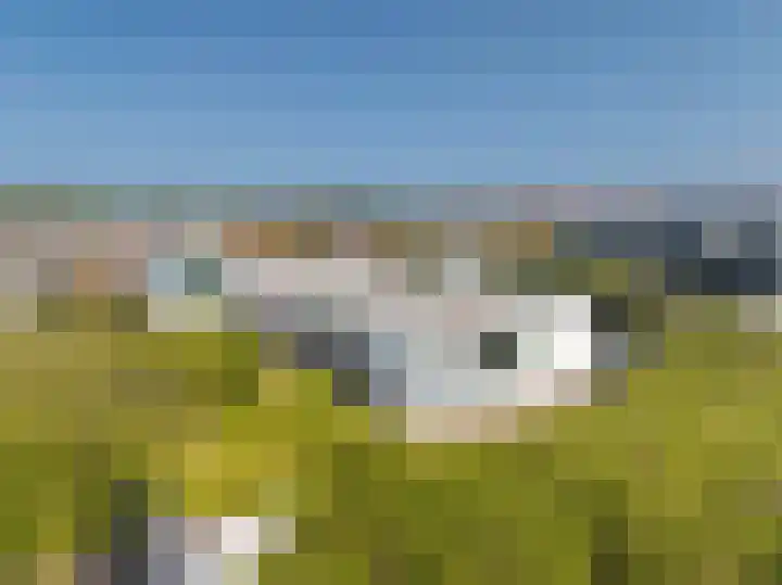Patijnweg 5 Bergen aan Zee thumbnail 63