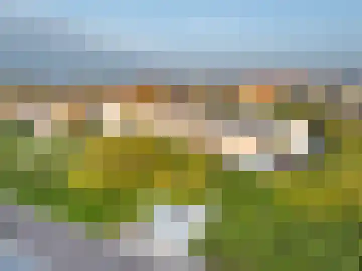 Patijnweg 5 Bergen aan Zee thumbnail 64