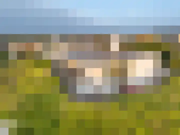 Patijnweg 5 Bergen aan Zee thumbnail 65