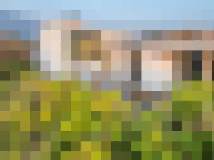 Patijnweg 5 Bergen aan Zee thumbnail 66