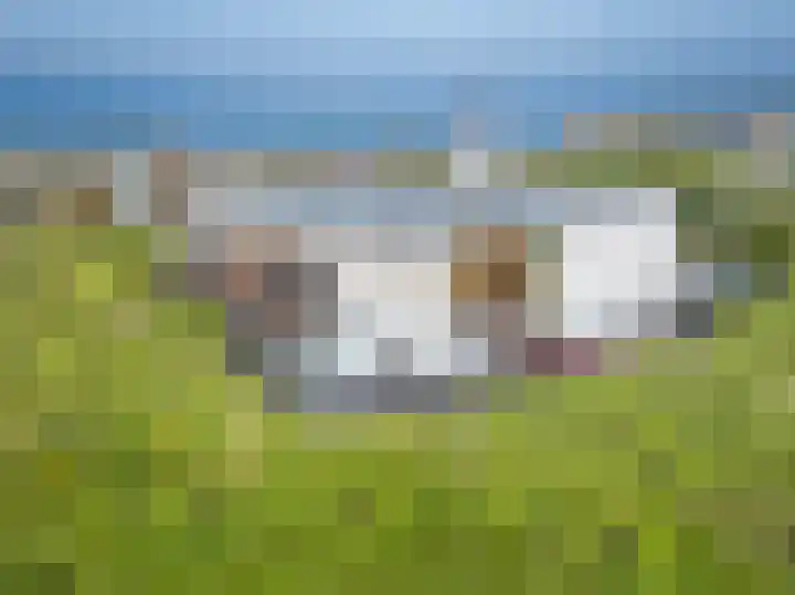 Patijnweg 5 Bergen aan Zee thumbnail 69
