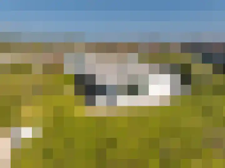 Patijnweg 5 Bergen aan Zee thumbnail 83