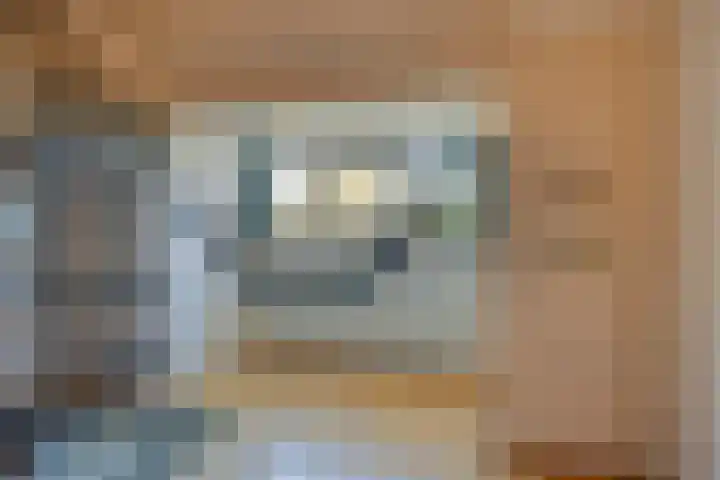 Patijnweg 8 Goes thumbnail 28