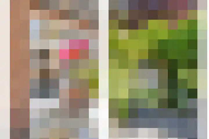 Patijnweg 8 Goes thumbnail 37
