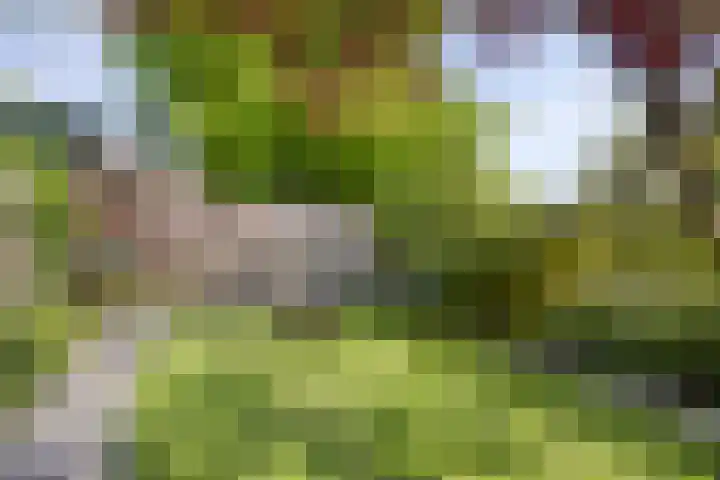 Patijnweg 8 Goes thumbnail 38