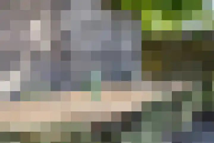 Patijnweg 8 Goes thumbnail 41