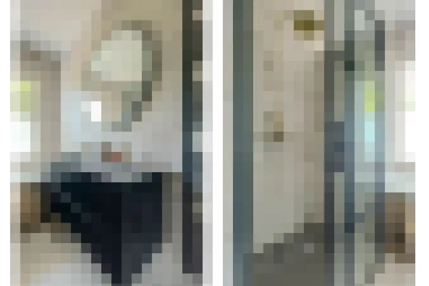 Patijnweg 80 Goes thumbnail 33