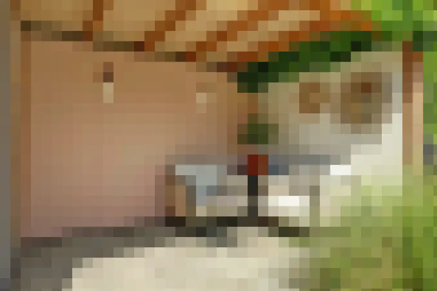 Patijnweg 80 Goes thumbnail 37