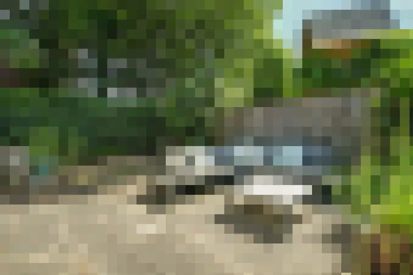 Patijnweg 80 Goes thumbnail 38