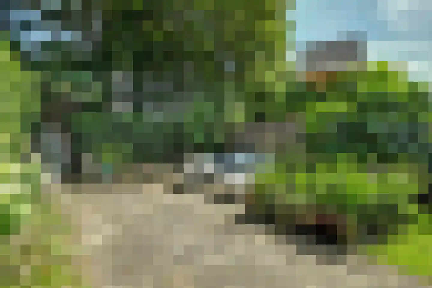 Patijnweg 80 Goes thumbnail 39