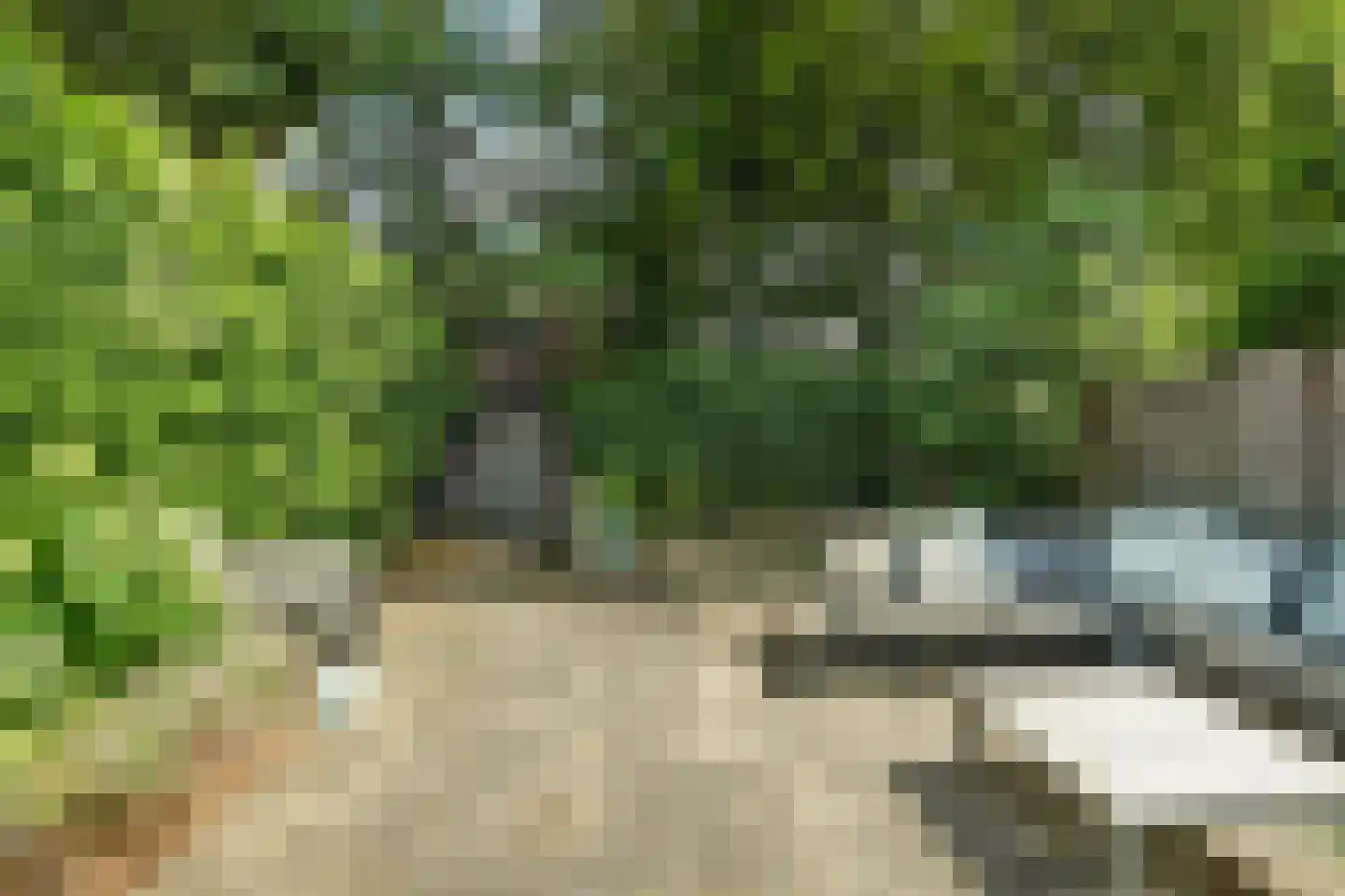 Patijnweg 80 Goes thumbnail 40