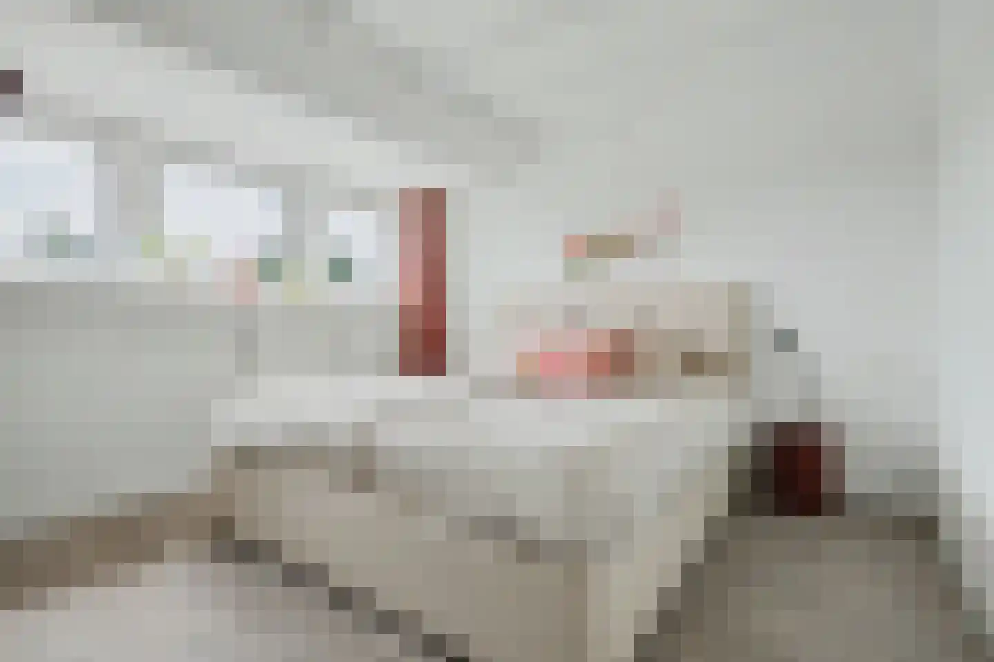 Patijnweg 88 Goes thumbnail 21