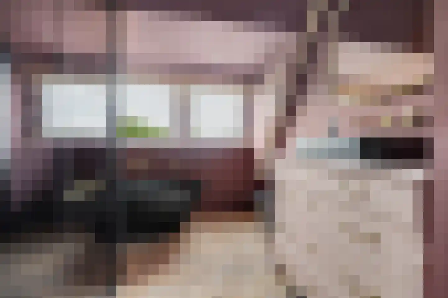 Patijnweg 88 Goes thumbnail 25