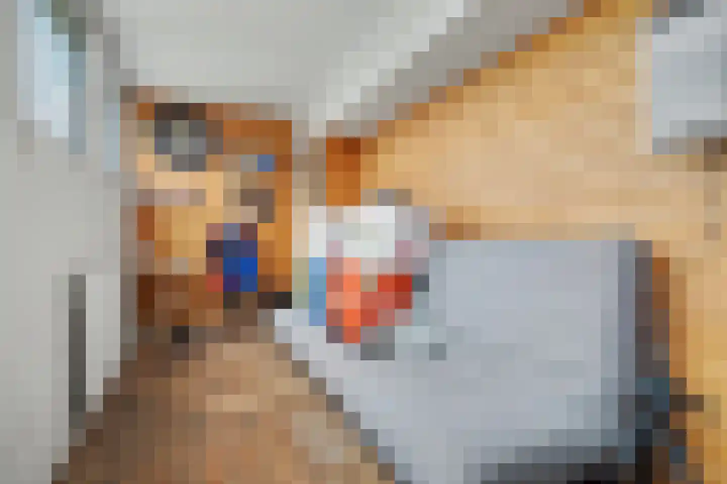 Patijnweg 88 Goes thumbnail 31