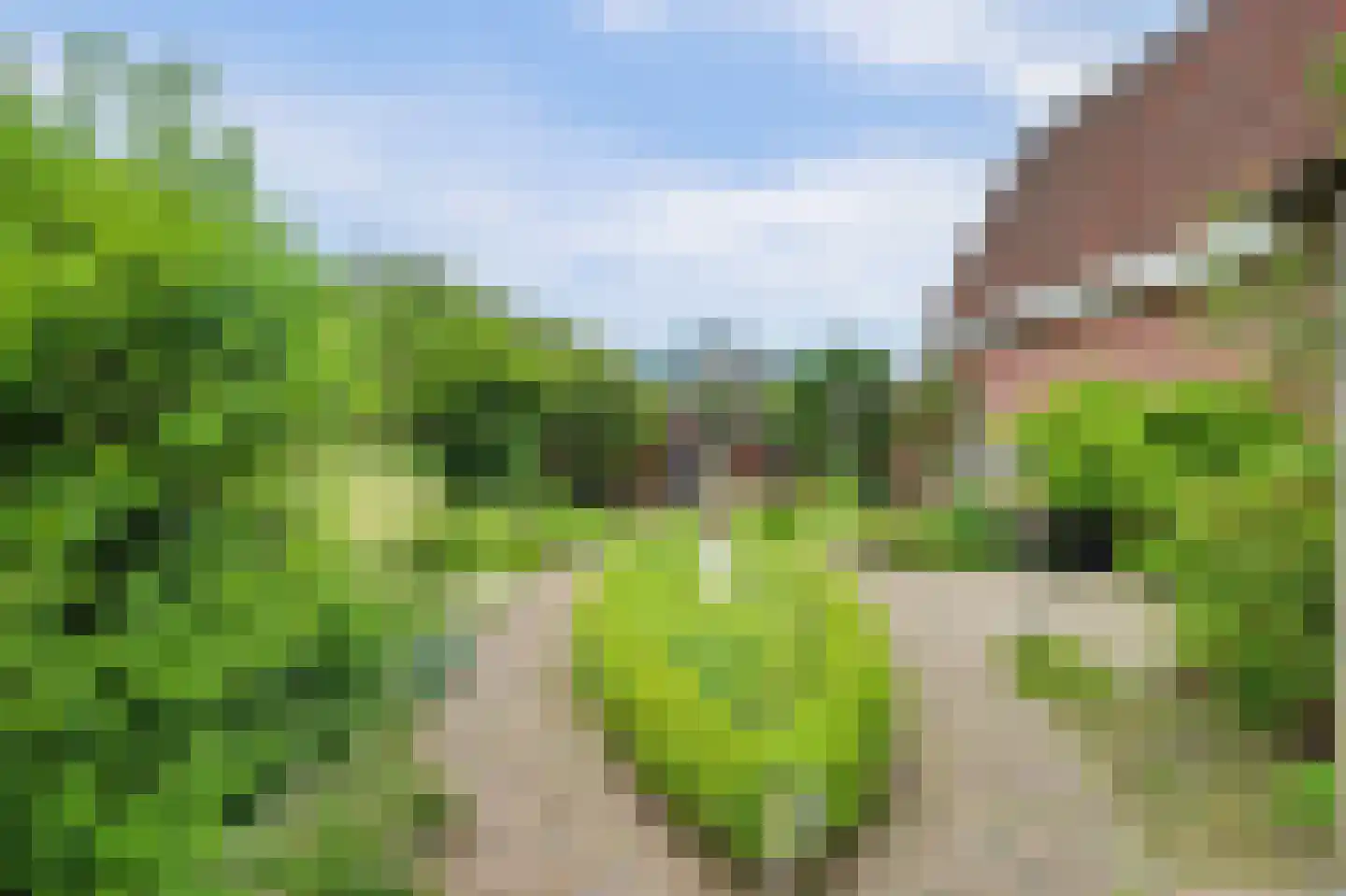 Patijnweg 88 Goes thumbnail 35