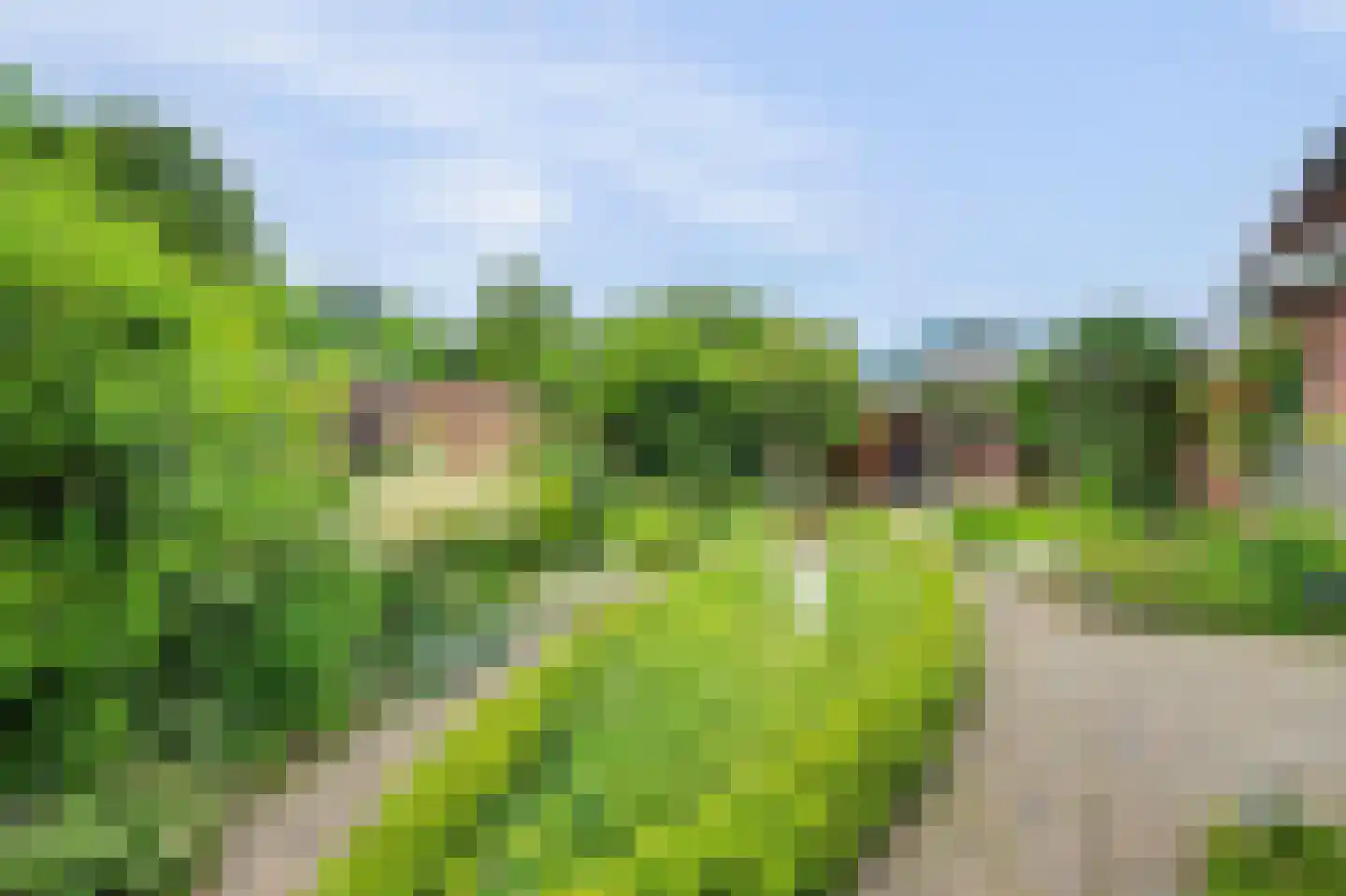 Patijnweg 88 Goes thumbnail 36