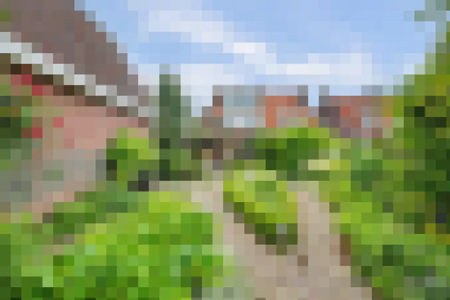 Patijnweg 88 Goes thumbnail 37