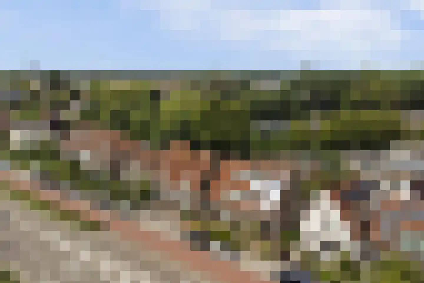 Patijnweg 88 Goes thumbnail 47