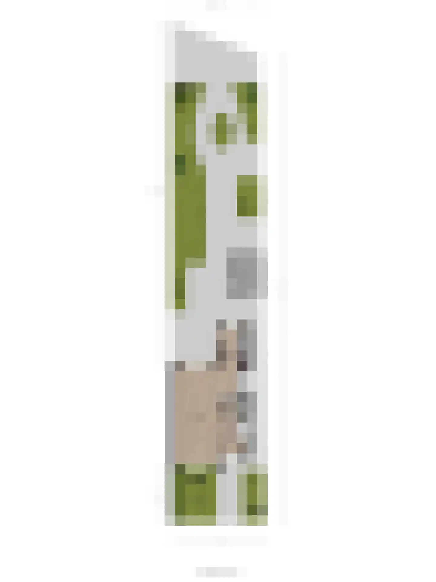 Patijnweg 88 Goes thumbnail 57