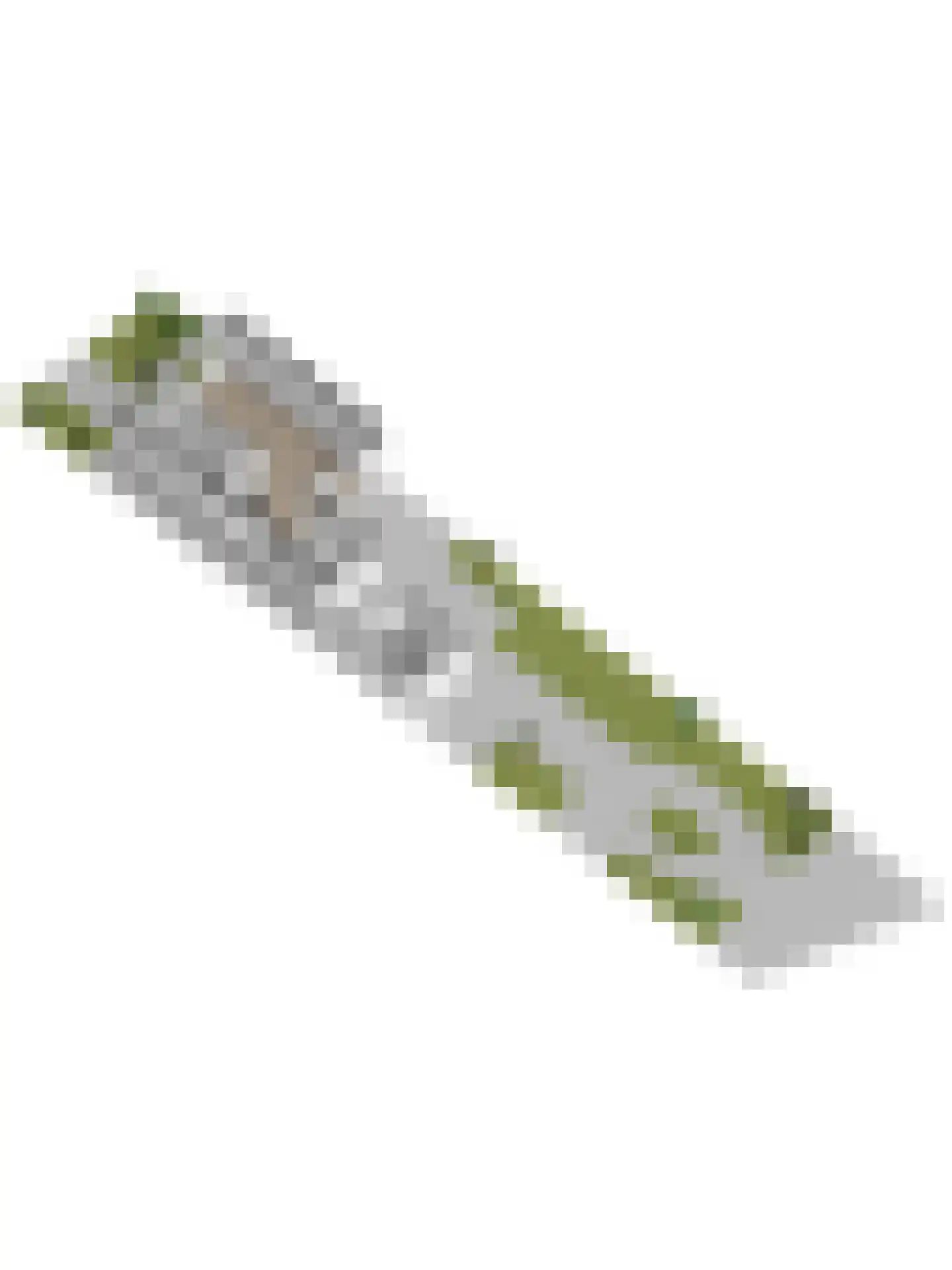Patijnweg 88 Goes thumbnail 62