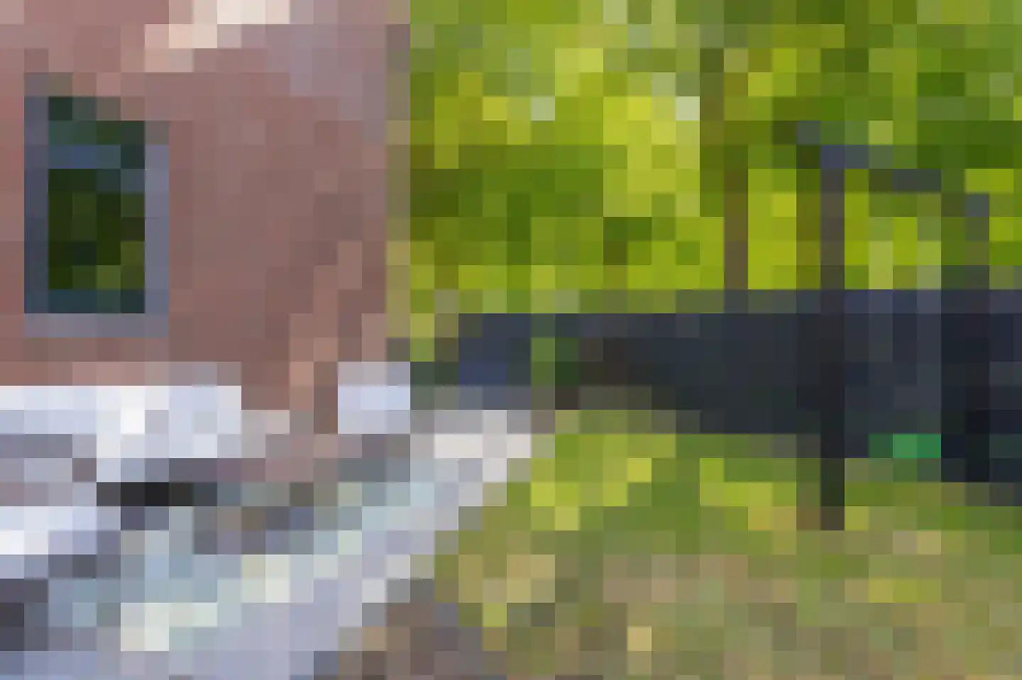 Patio 118 Hoorn thumbnail 43