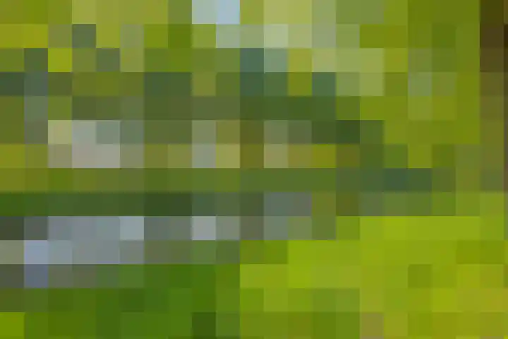 Patio 121 Hoorn thumbnail 27