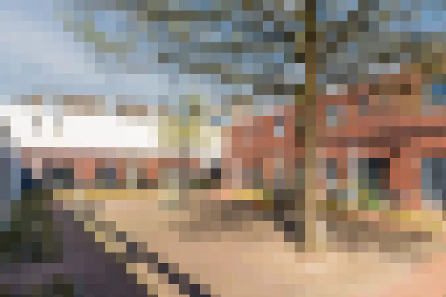 Patio 2 Veghel thumbnail 22