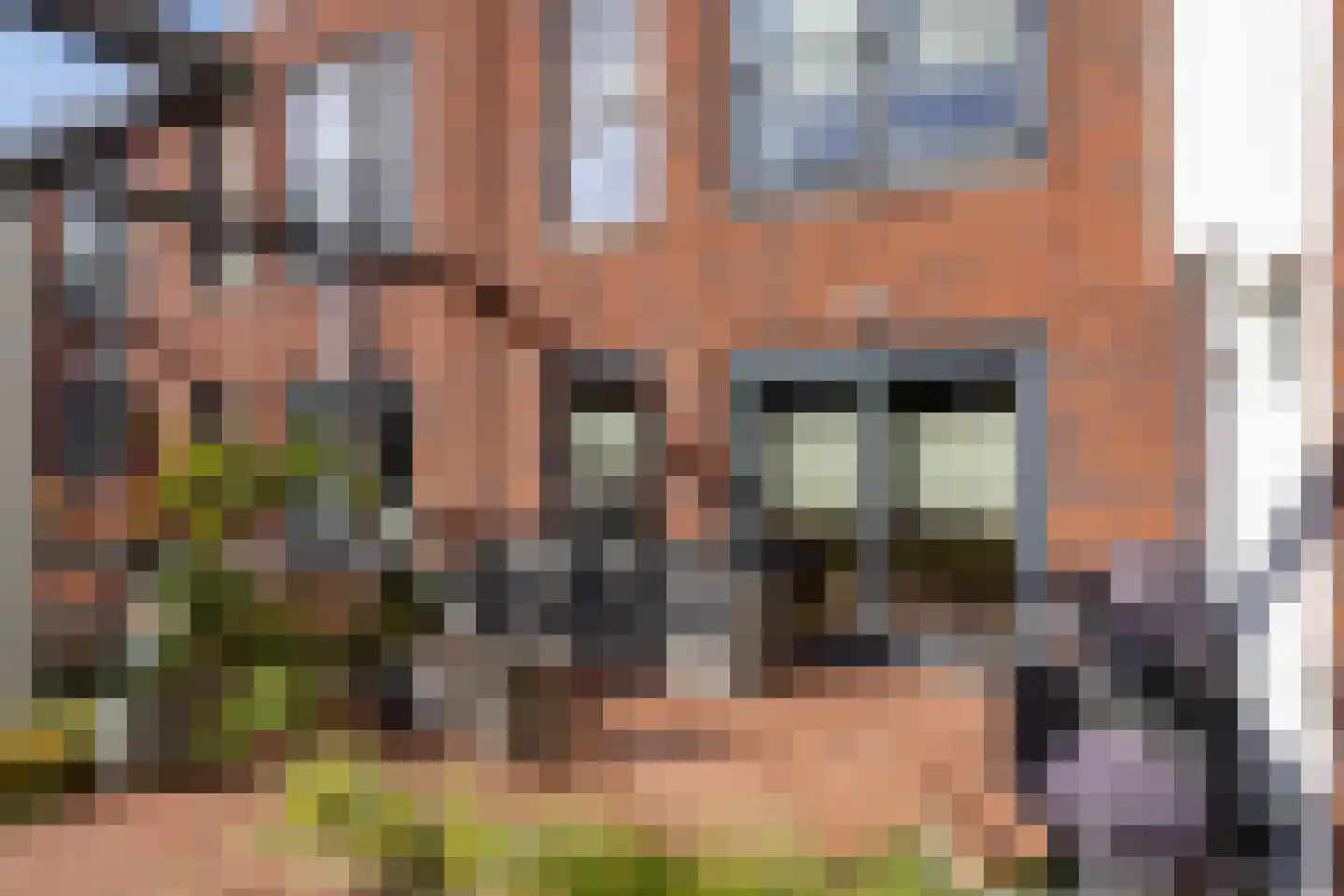 Patio 6 Veghel thumbnail 30