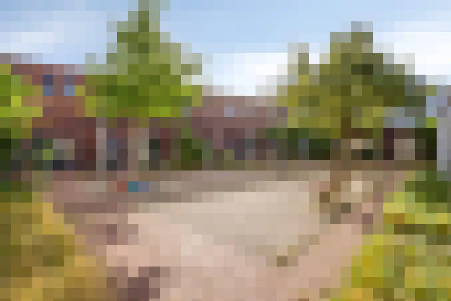 Patio 6 Veghel thumbnail 33