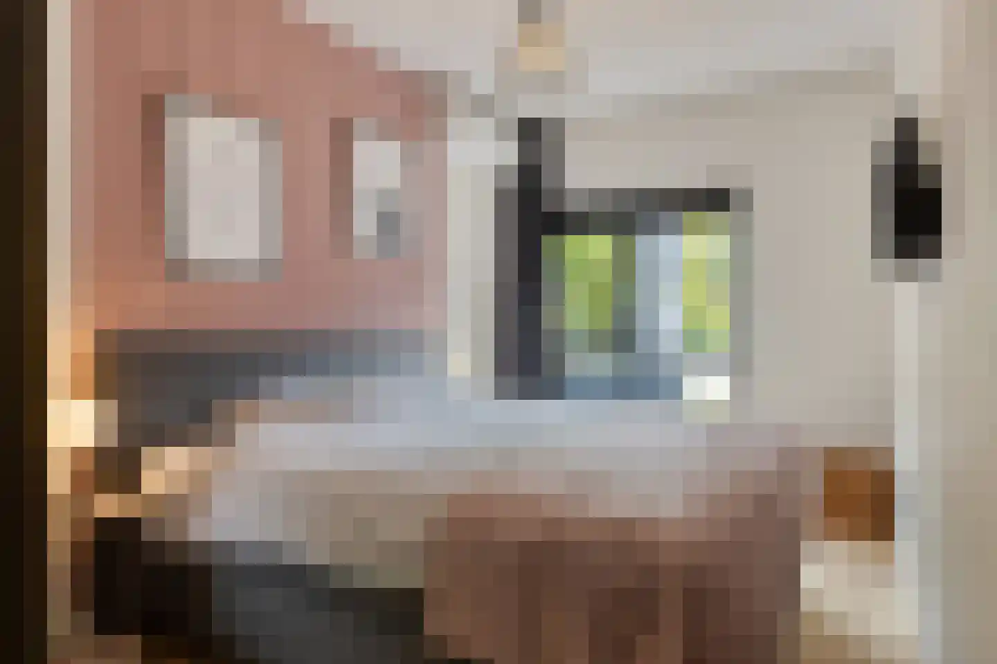 Patio 7 Veghel thumbnail 20
