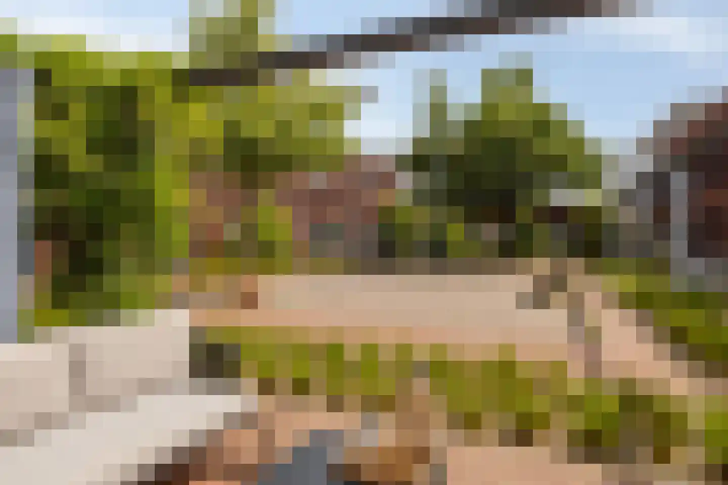 Patio 7 Veghel thumbnail 25
