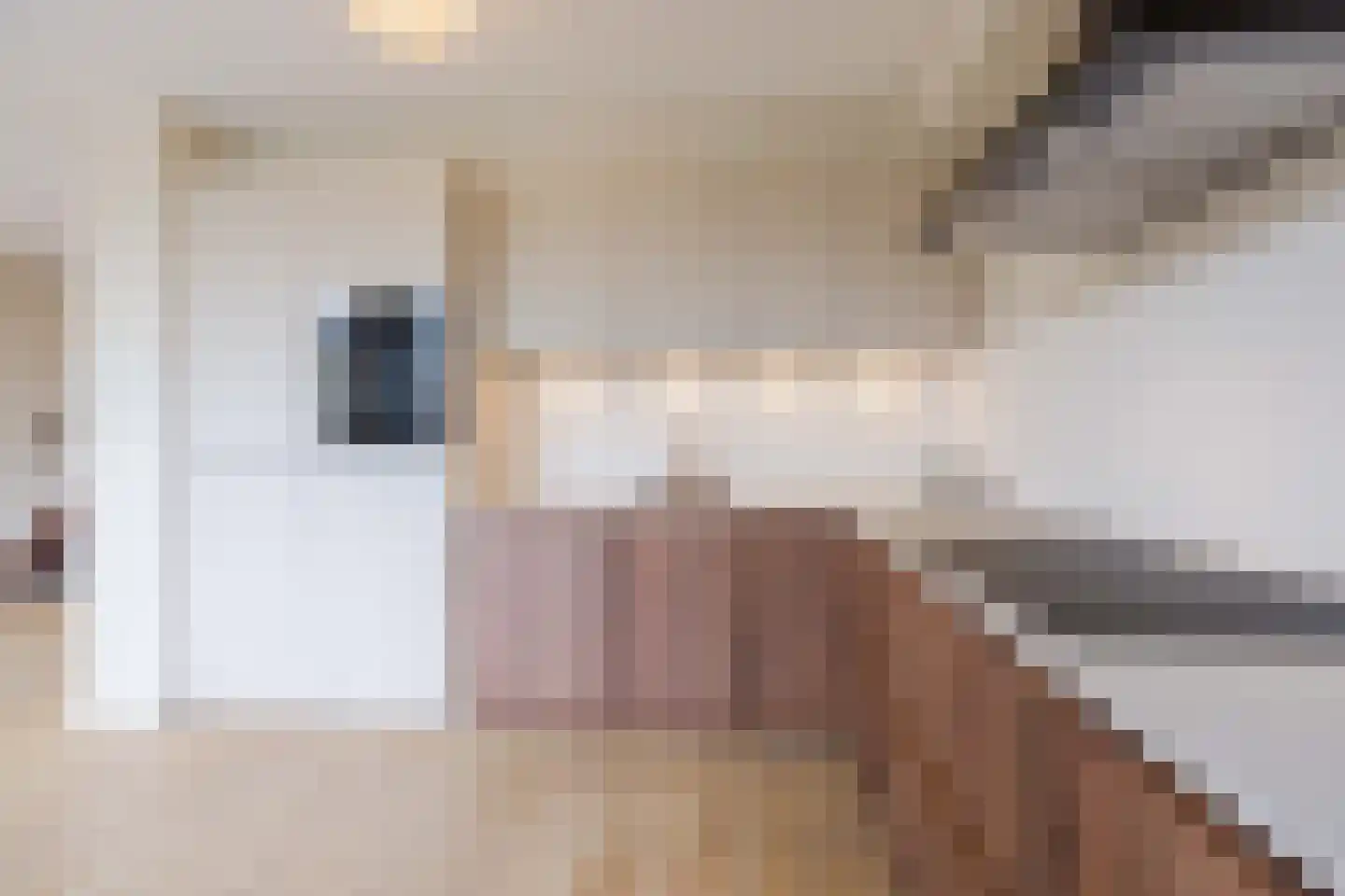 Patiostraat 10 Zuidland thumbnail 8