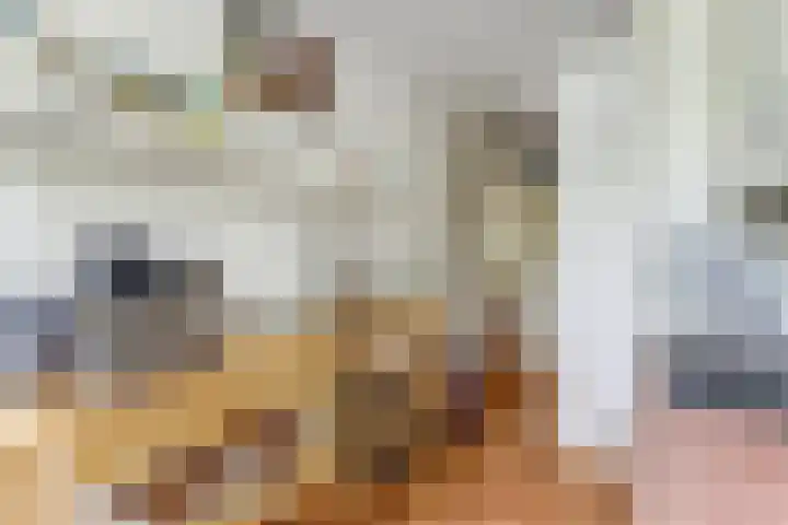 Patmosdreef 132 Utrecht thumbnail 12