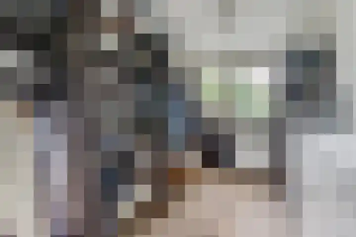 Patmosdreef 132 Utrecht thumbnail 21