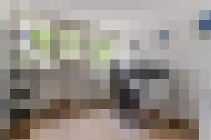 Patmosdreef 132 Utrecht thumbnail 23