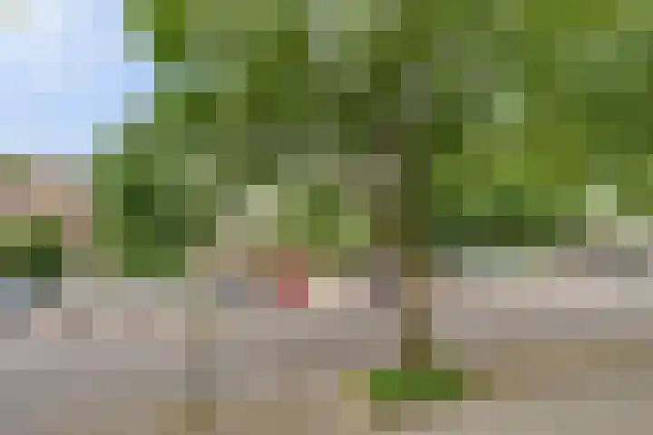 Patmosdreef 132 Utrecht thumbnail 35