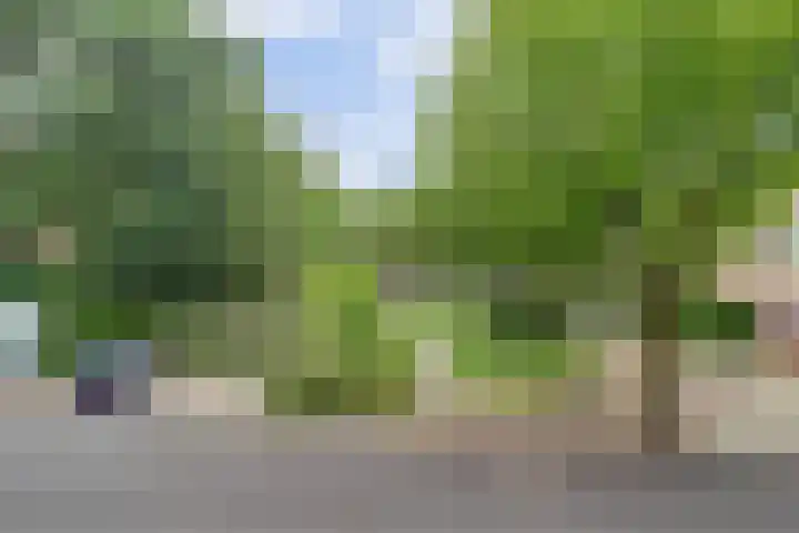Patmosdreef 132 Utrecht thumbnail 37