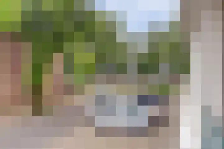 Patmosdreef 132 Utrecht thumbnail 38