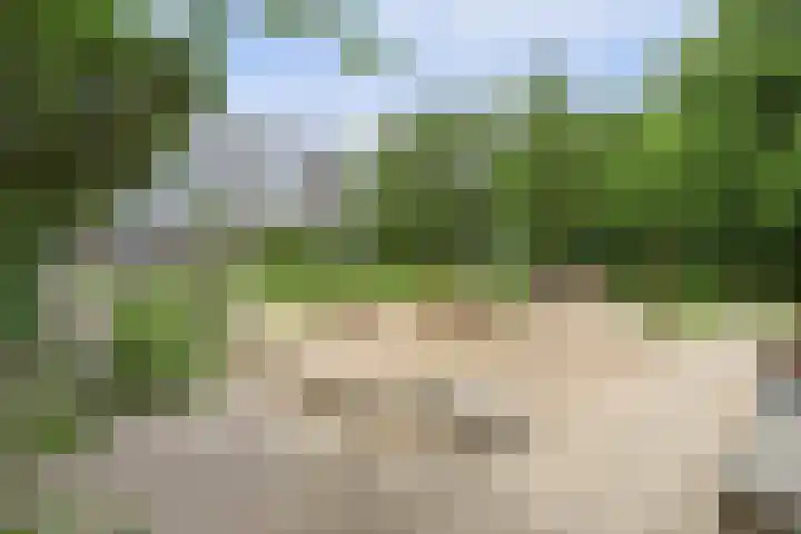 Patmosdreef 132 Utrecht thumbnail 39