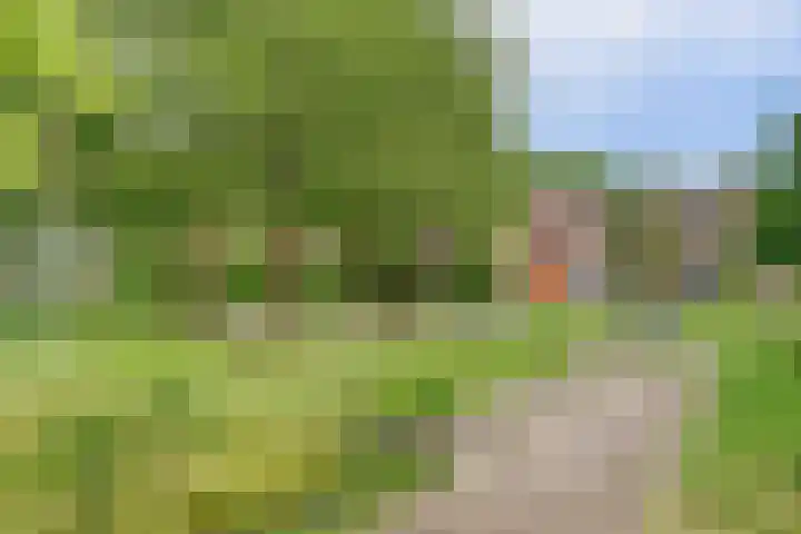 Patmosdreef 132 Utrecht thumbnail 42