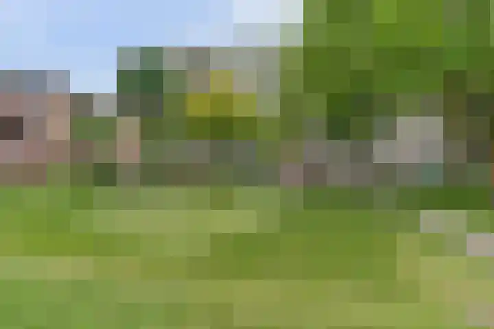 Patmosdreef 132 Utrecht thumbnail 43