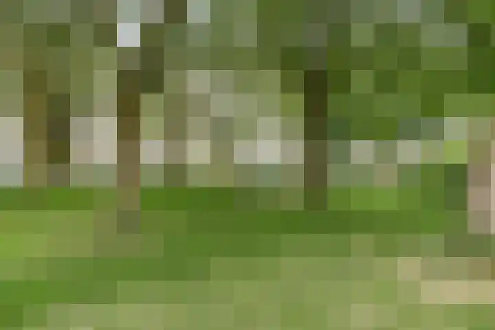 Patmosdreef 132 Utrecht thumbnail 44