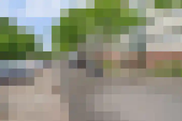 Patmosdreef 132 Utrecht thumbnail 45