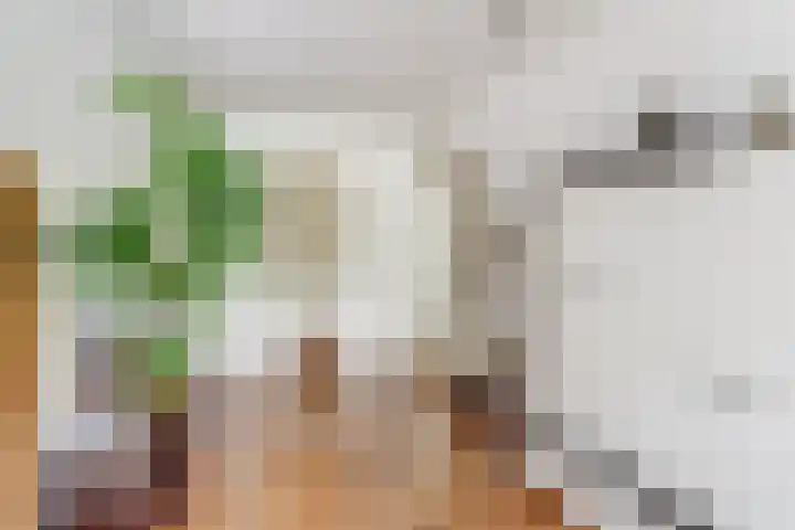 Patmosdreef 132 Utrecht thumbnail 7