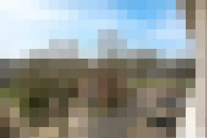 Patmosdreef 140 Utrecht thumbnail 18