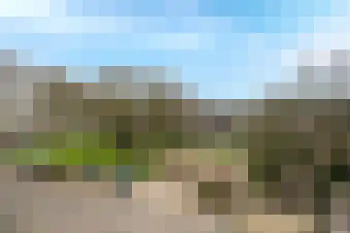 Patmosdreef 140 Utrecht thumbnail 19