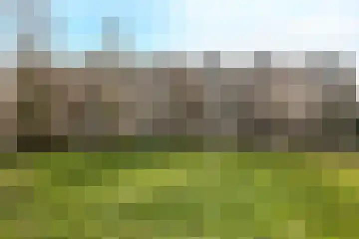 Patmosdreef 140 Utrecht thumbnail 31