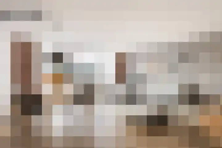 Patmosdreef 140 Utrecht thumbnail 6