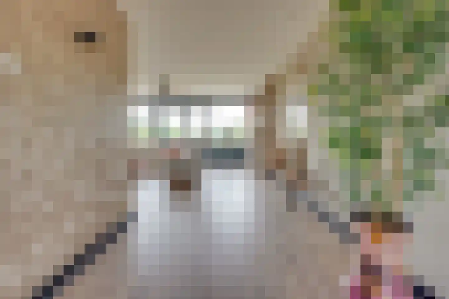 Patmosdreef 146 Utrecht thumbnail 12