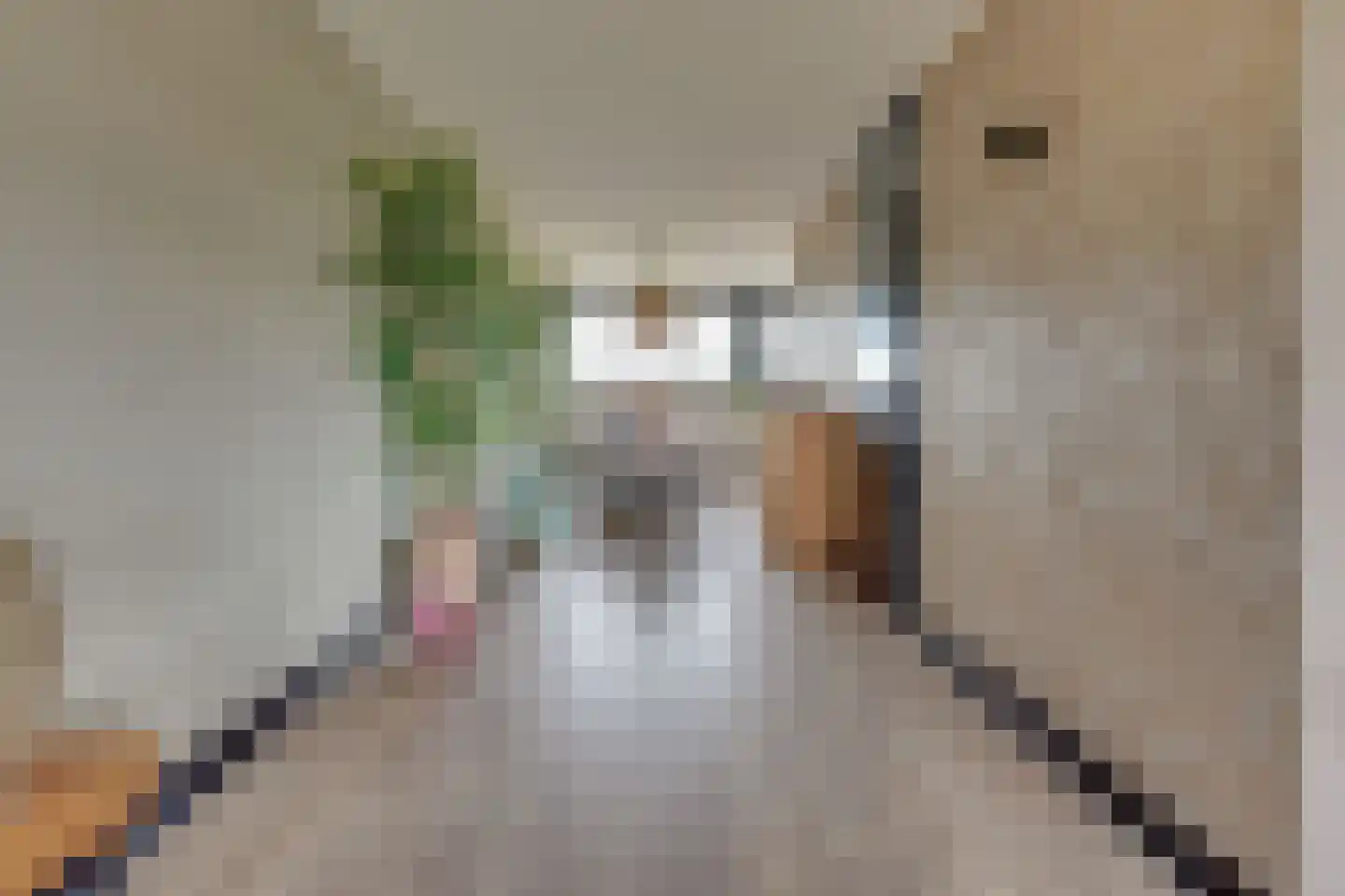 Patmosdreef 146 Utrecht thumbnail 22
